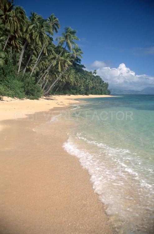 Island;fiji;blue water;sky;palm trees;sand;shore line